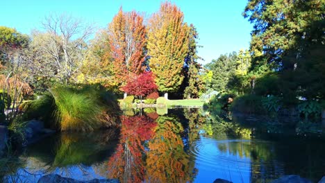 Los-Anillos-Concéntricos-Del-Agua-Del-Estanque-Interrumpen-El-Impresionante-Reflejo-De-Los-Colores-Otoñales-Antes-De-Despejarse---Hagley-Park,-Christchurch