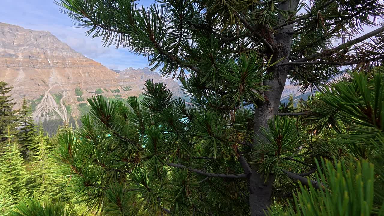 Lago panoramico circondato da montagne e foreste
