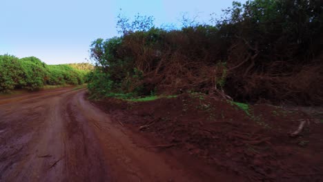 Pov-Erschossen-Fahren-Auf-Einer-Roten-Unbefestigten-Straße-Auf-Der-Insel-Lanai-In-Hawaii