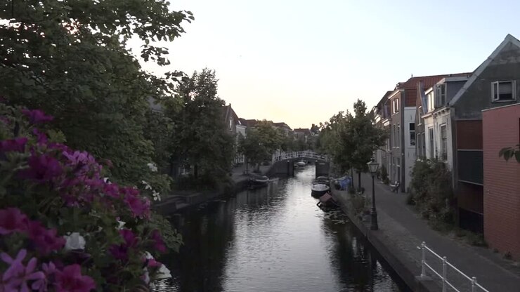 Canale con barche nei Paesi Bassi, dopo il tramonto, fiancheggiato da fiori.
