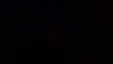 super slow motion of flames isolated on black background.
fire flames igniting and burning - slow motion. a line of real flames ignite on a black background. real fire. transparent background