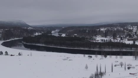 forestry landscape with river water in winter season, aerial ascend shot