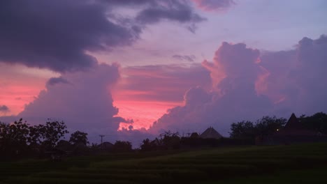 "la belleza verde de bali: vistas panorámicas de los campos de arroz