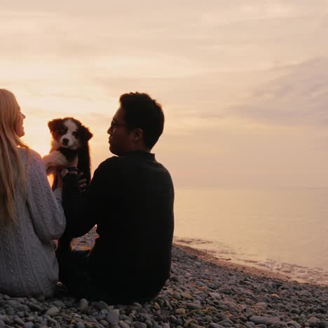 young couple walking the dog 1