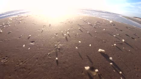 espuma de algas en la tormenta en la playa en cámara lenta, playa de arena, mar del norte, jutlandia, sondervig, dinamarca, 4k