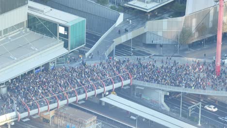 aerial view of a large crowd gathering