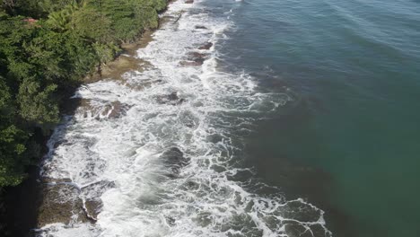 Bosque-Verde-Con-Olas-Tranquilas-Del-Océano