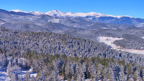 Navidad-Primera-Nieve-Hojas-Perennes-Tres-Hermanas-Rango-Frontal-Monte-Denver-Cielo-Azul-Evans-Aéreo-Cinematográfico-Zumbido-Fresco-Helada-Mañana-Hermosa-Cielo-Azul-Pinos-Escarchados-Zoom-Hacia-Atrás-Movimiento-Panorámico