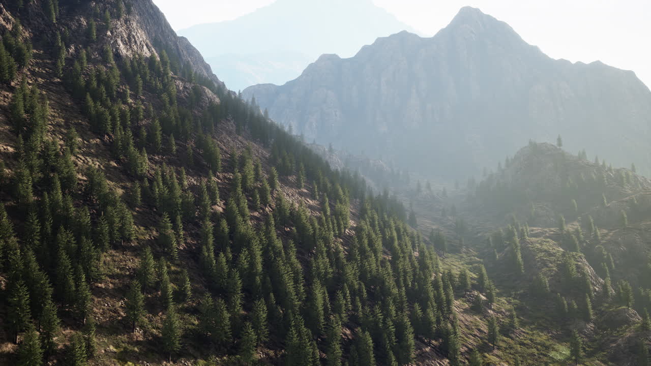 cordillera con valle y bosque
