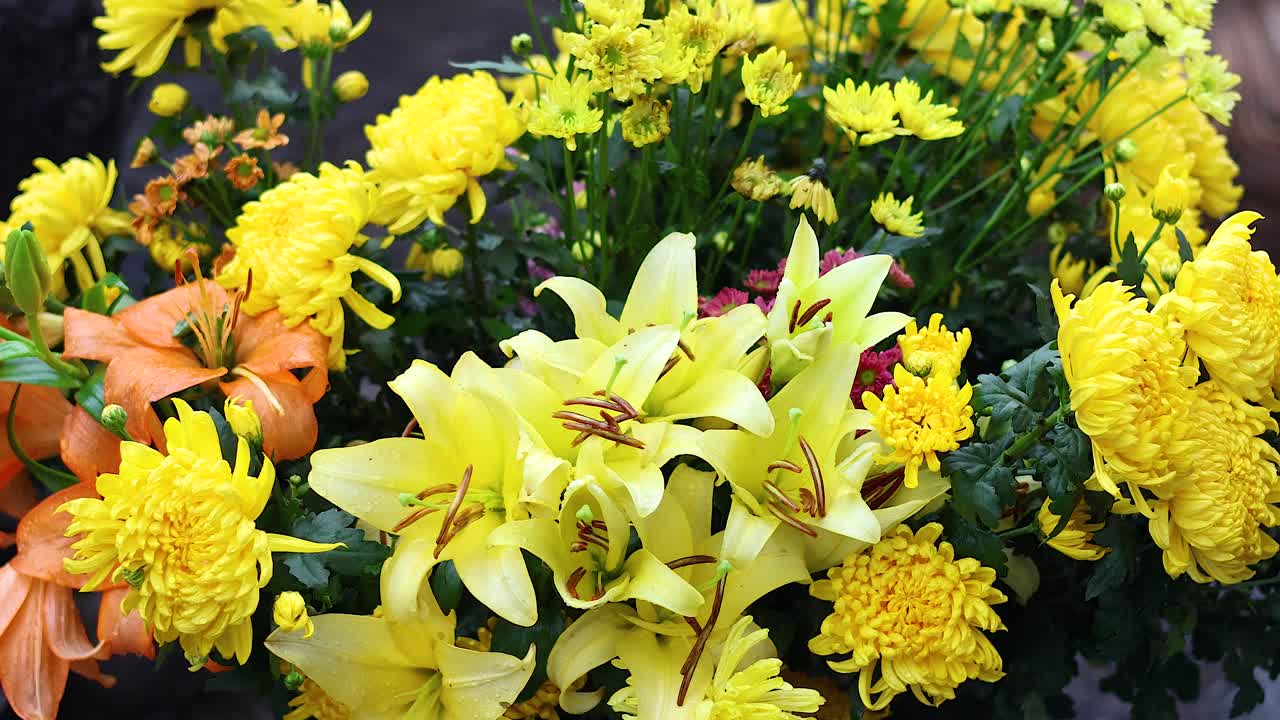 flores de colores que florecen en hanoi, vietnam