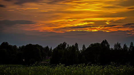 The-golden-sun-glows-over-the-forest-then-sets-beyond-the-trees---time-lapse