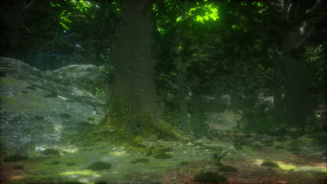 un bosque profundo y misterioso