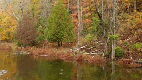 Canadian-fall-autumn-season-at-Algonquin-park-Ontario