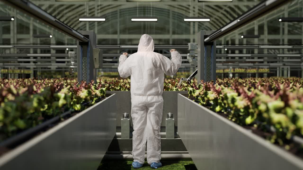 vista trasera del cuerpo completo de un hombre investigador gritando meta celebrando mientras estaba de pie en el invernadero con agricultores robóticos inteligentes