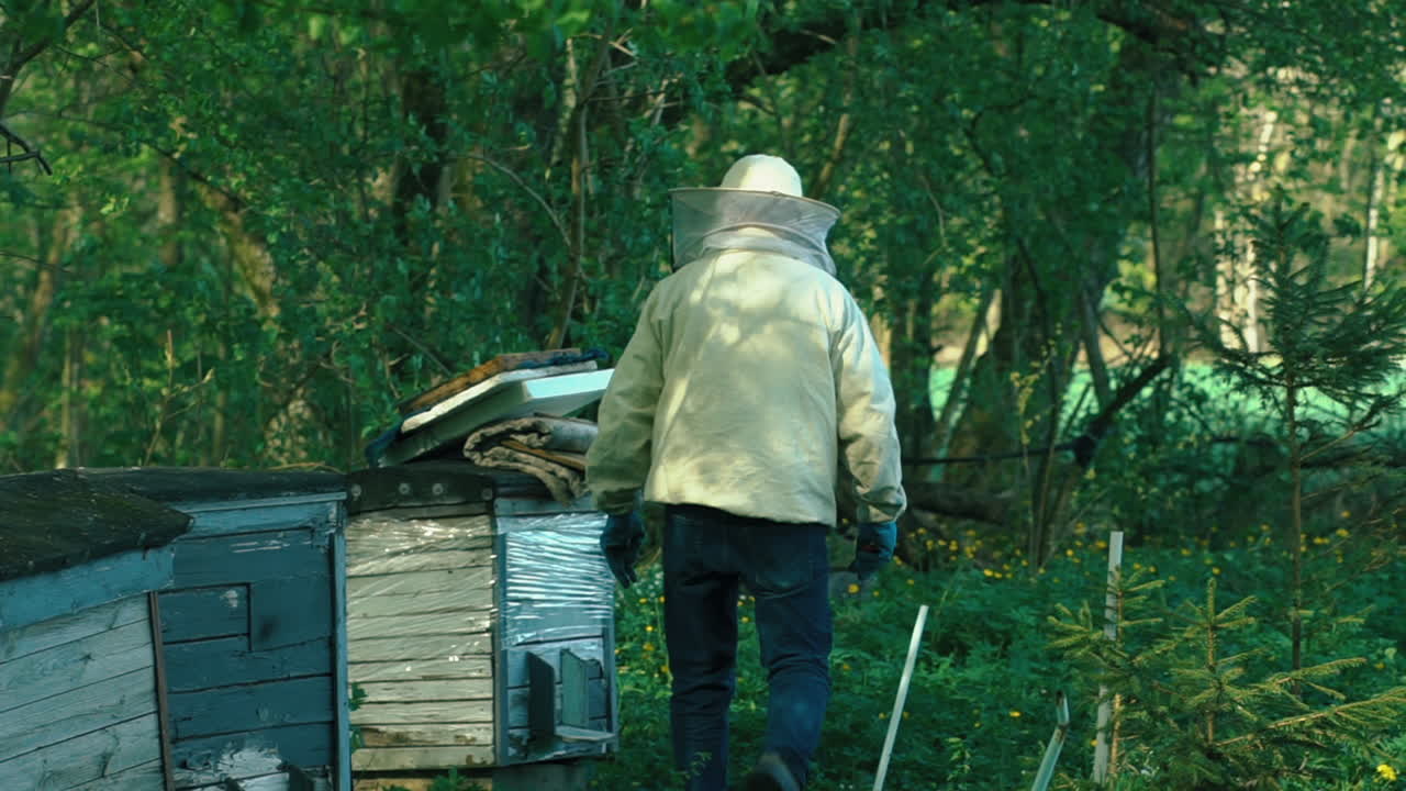 Beekeeper fitting hive frame at a apiary in slow motion