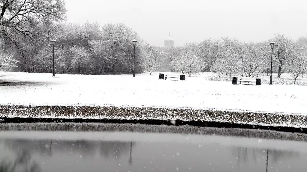 White silence in the winter park