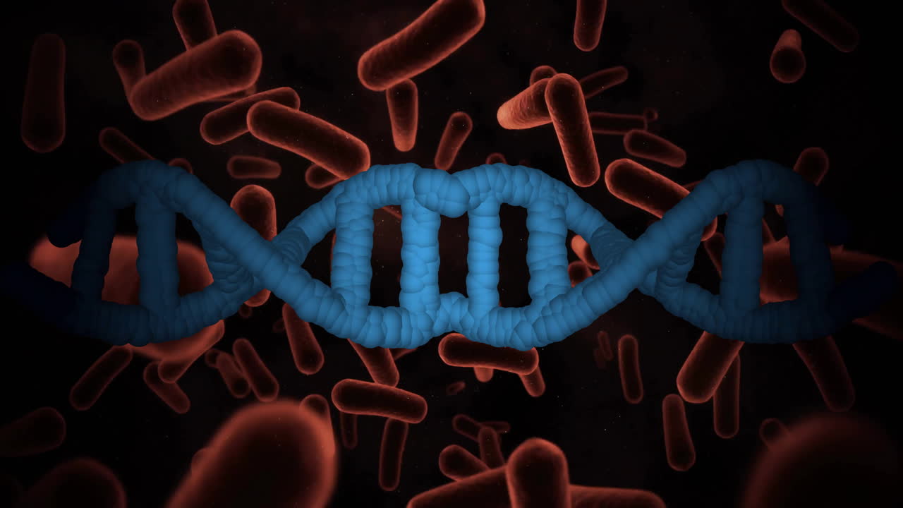 Animation of DNA strand with red bacteria, scientific concept in school biology