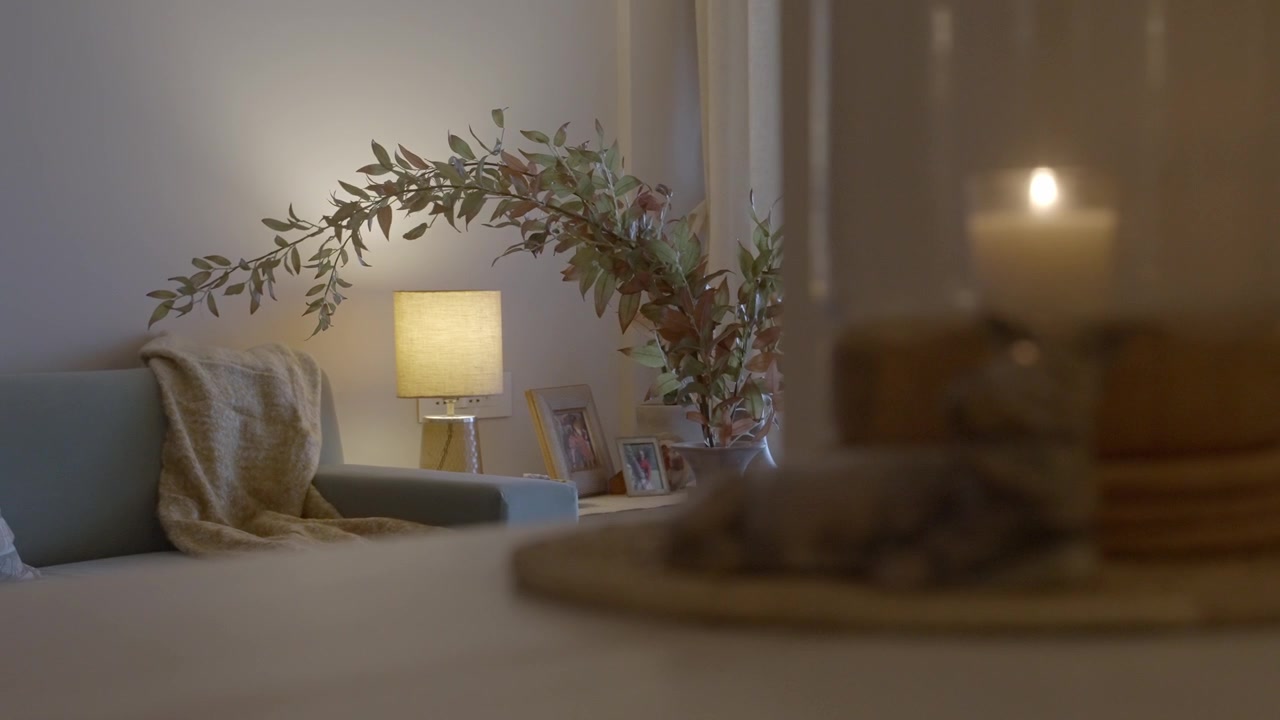 Interior On Cozy Living Room
