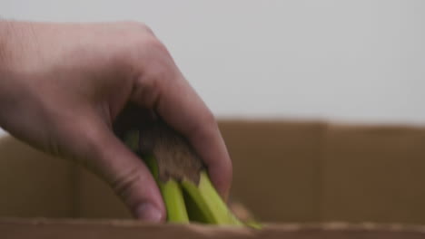 Mano-Masculina-Recoge-Plátanos-De-Una-Caja-De-Cartón-En-Un-Banco-De-Alimentos