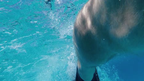 close up: hairy male legs swim in clear water with snorkel flippers