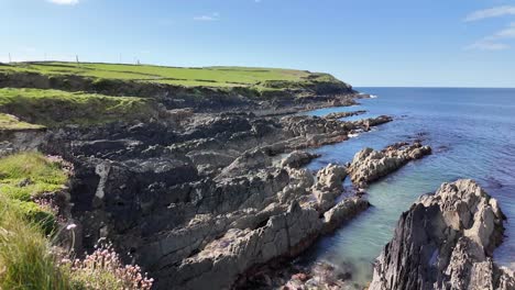 Rugged-coast-at-Galley-Head-peninsula-with-wild-flowers-in-bloom-in-May,-West-Cork,-Ireland