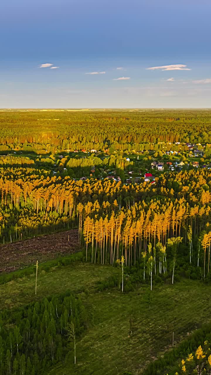 A beautiful aerial timelapse shows the golden light of a summer sunrise illuminating treetops and a small village nestled within a vast, dense European forest landscape.