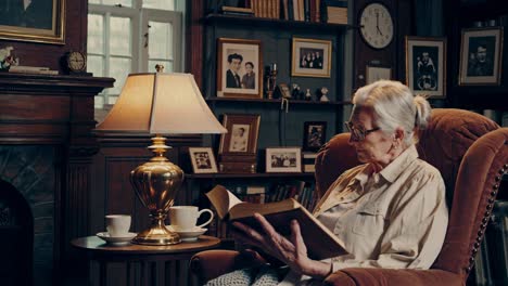 a cozy, vintage-style video scene of an elderly woman reading in an armchair, captured from a side
