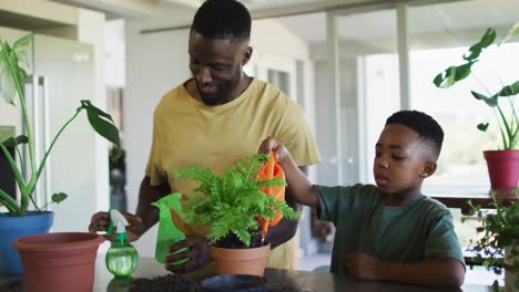 african american father and son watering plant pot together at home