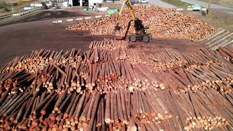 panorámica a la derecha, amplia toma de un dron de un cargador de troncos en un aserradero que mueve troncos sobre pilas de madera en un entorno desértico