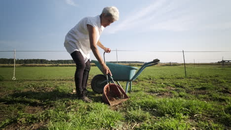 experience the dedication of an elderly woman as she meticulously tends to the farm, using a spade to collect horse dung for the wheelbarrow