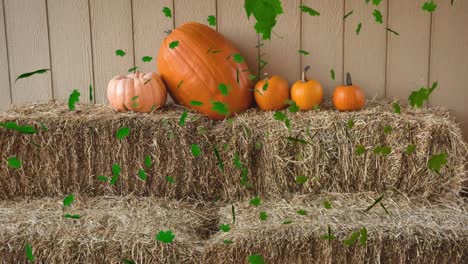 Animation-of-autumn-leaves-falling-over-pumpkin-patch