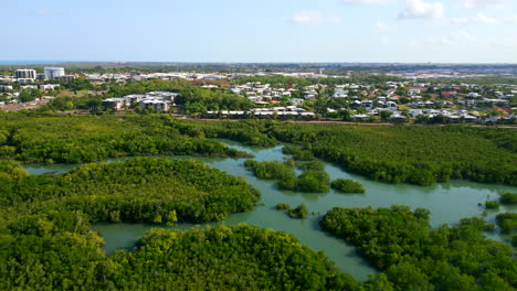 Hermoso-Disparo-De-Drone-Volando-Sobre-Manglares-Con-Vista-Al-Suburbio-Costero-Costero