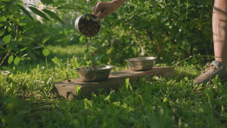 partial view of someone pouring dog feed into metal bowl on plank outdoors while some spill onto grass, another empty metal bowl is beside it on plank, scene features lush green background with leaves