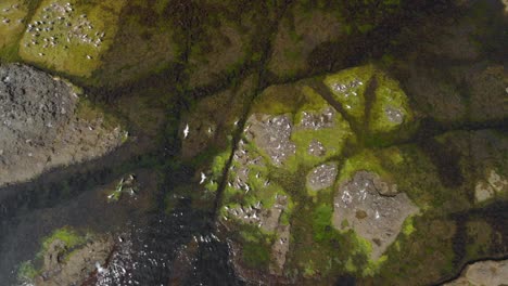 drone vertical spinning shot over seagulls on sea cliffs