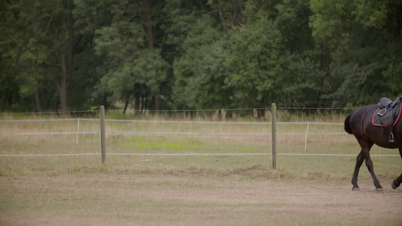 mujer caminando con un caballo en un campo