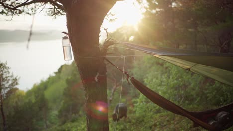 dazzling sunlight behind the tree in the mountain forest with hammock at sunrise