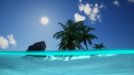 vista dividida de la sección transversal de agua de mar y palmeras en la isla