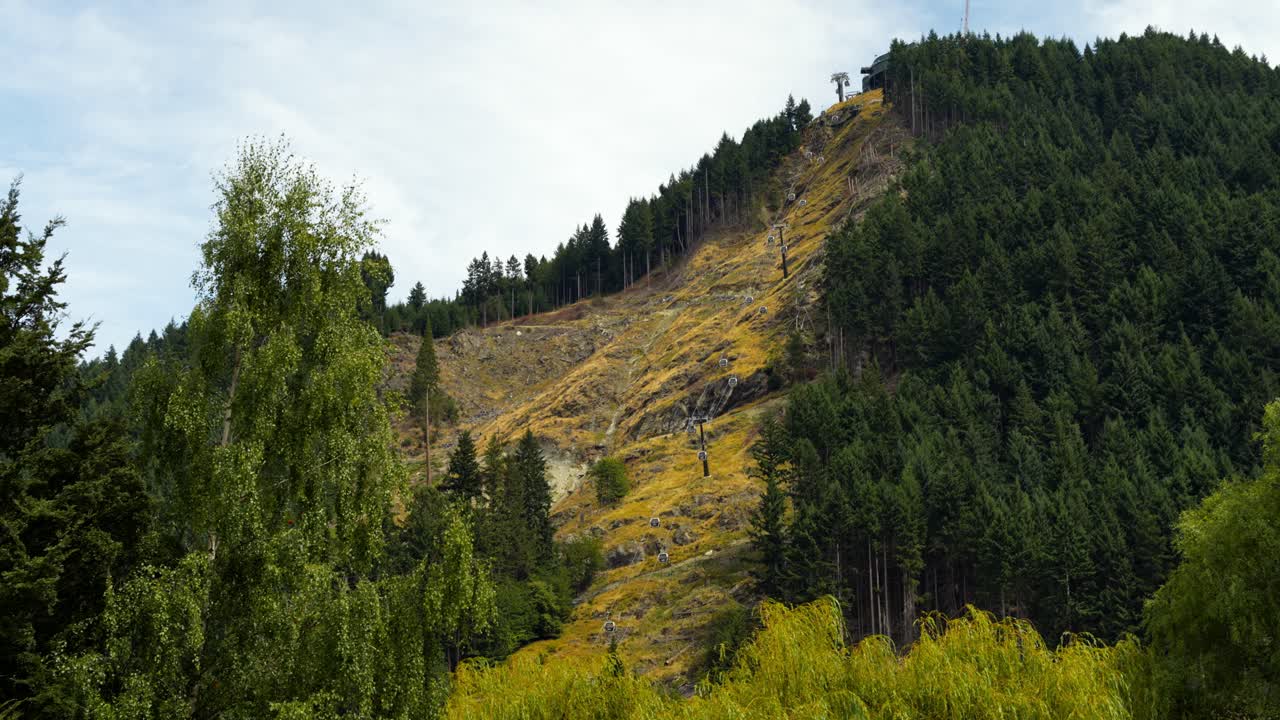 pilares y cables de góndola de montaña en la ladera de la montaña con árboles