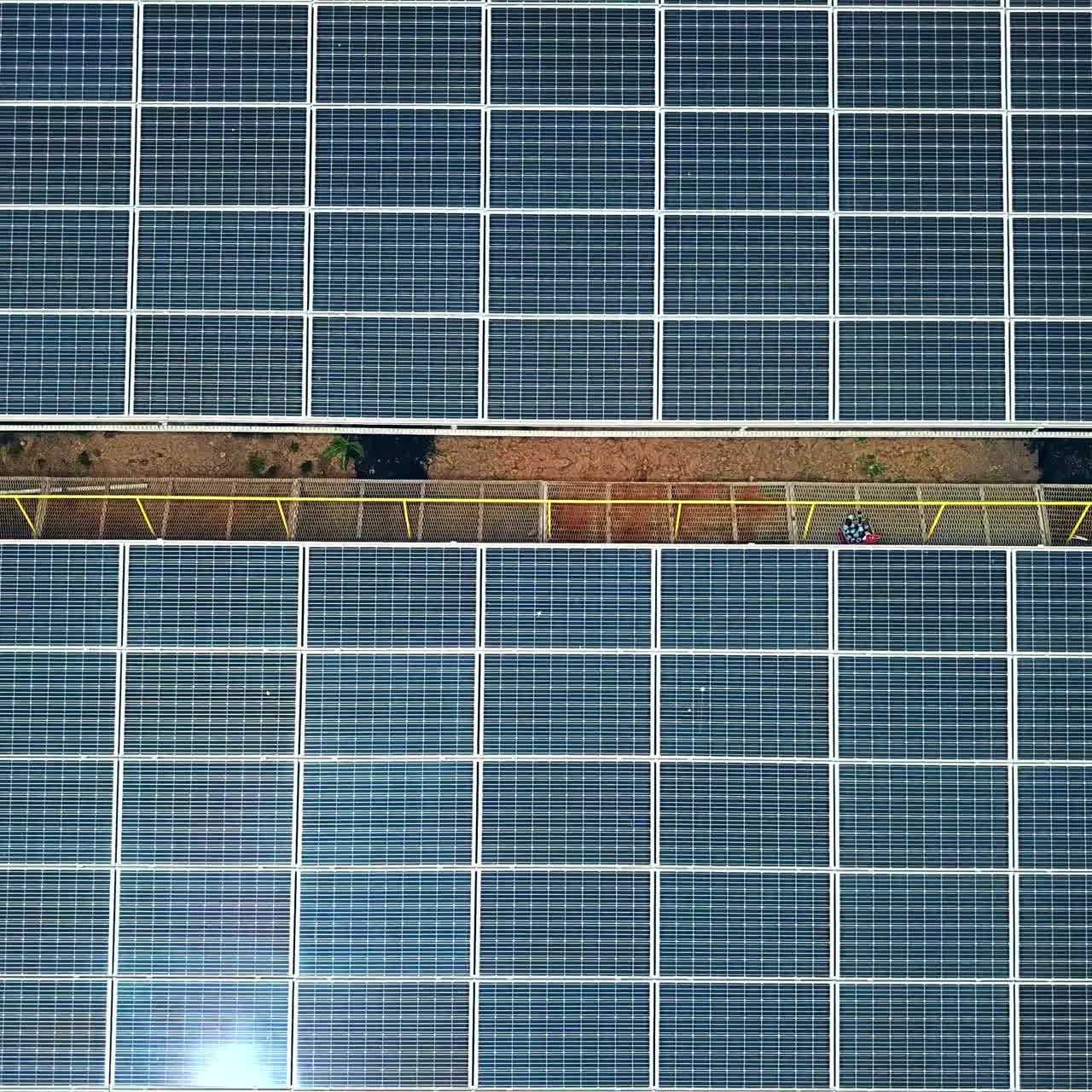 Solar panels in aerial view. Solar farm. Source of ecological renewable energy.