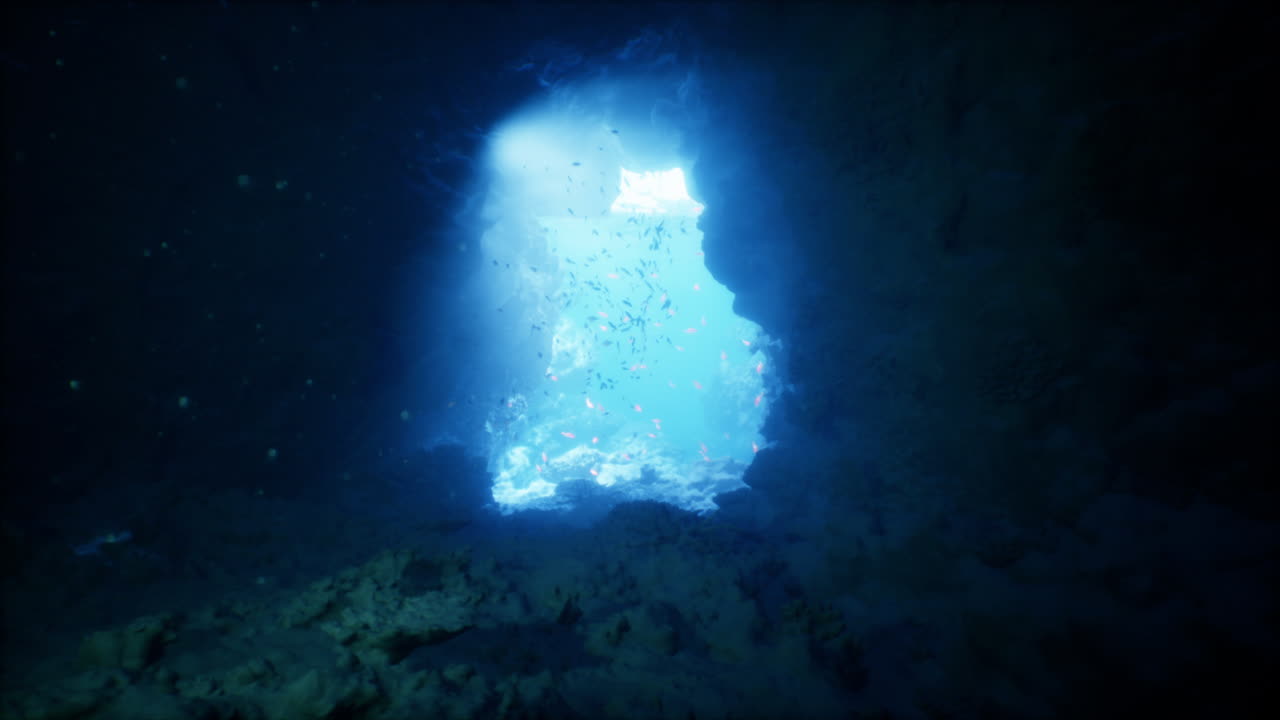 Exploring the enchanting underwater cave with vibrant marine life and sunlight