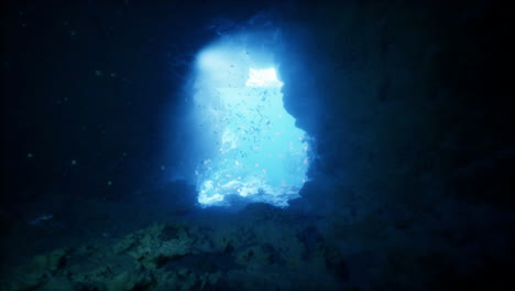 exploring the enchanting underwater cave with vibrant marine life and sunlight