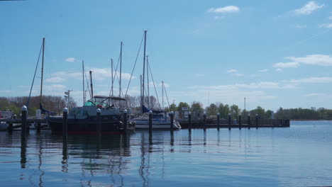 boats are moored in the marina