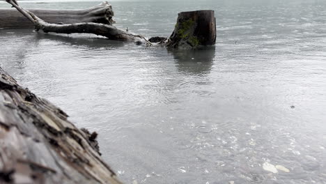 Vista-Estática-De-La-Lluvia-Junto-Al-Lago-Con-Tronco-De-árbol-Acostado