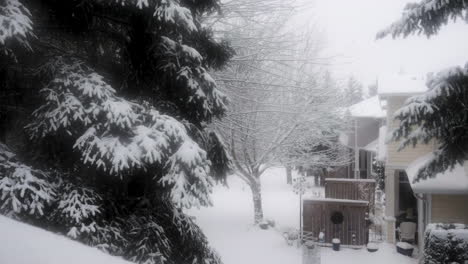 snow falling in the backyard pan to the right