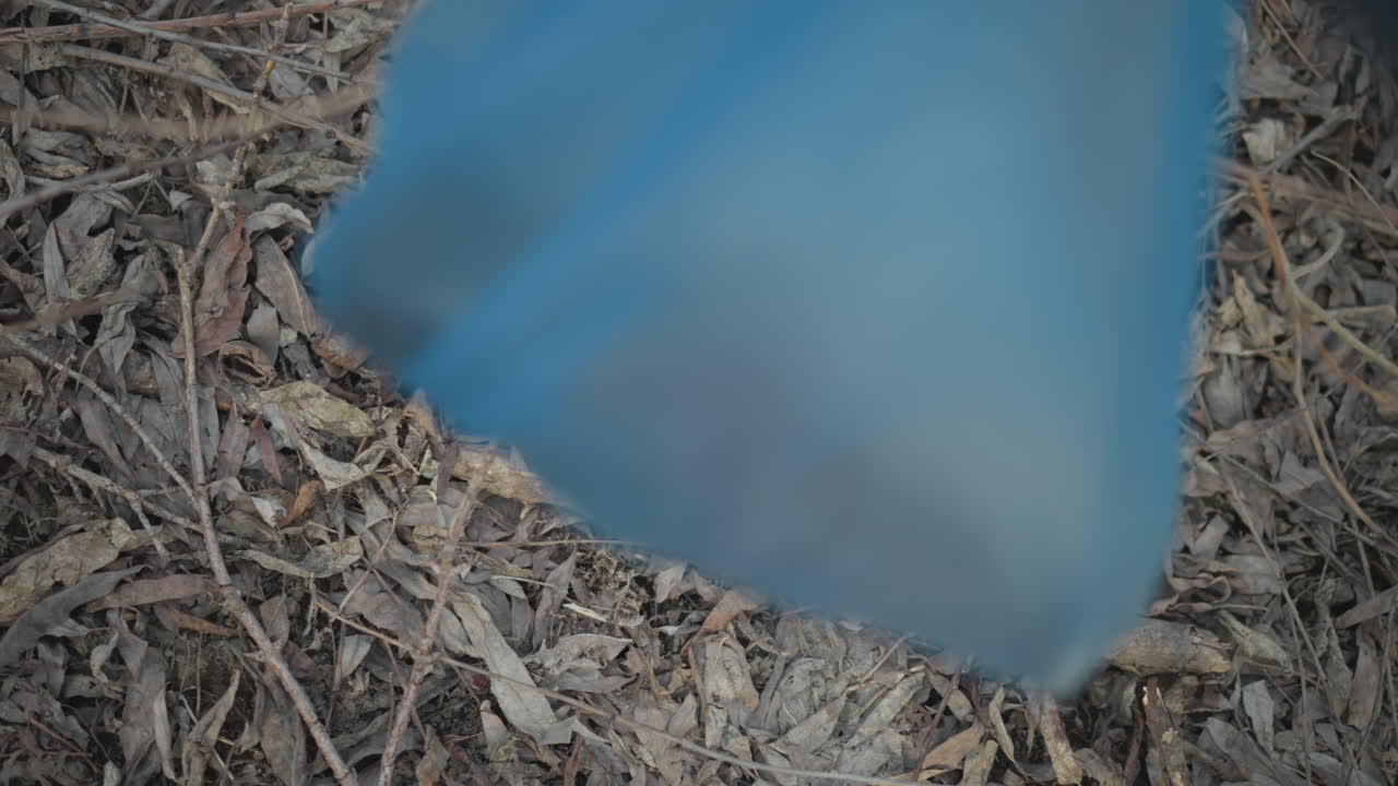 Person wearing orange gloves reaching to pick up discarded dark glass bottle lying among dry leaves and branches during environmental cleanup effort, aiming to remove litter and protect outdoor nature from pollution