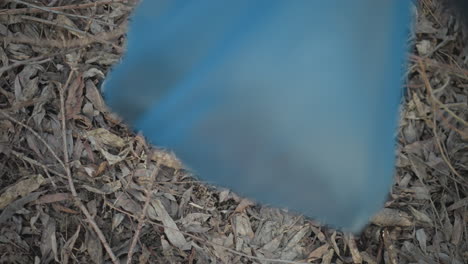 person wearing orange gloves reaching to pick up discarded dark glass bottle lying among dry leaves and branches during environmental cleanup effort, aiming to remove litter and protect outdoor nature from pollution
