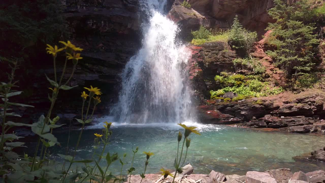 disparo estático con flores y south fork mineral creek cae cerca de silverton co