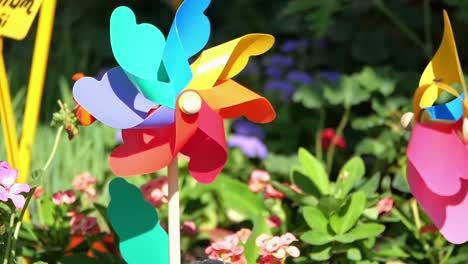 colorful windmills in a garden