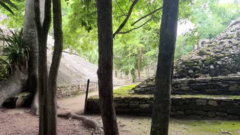 pyramid in coba maya ruins  yucatan peninsula