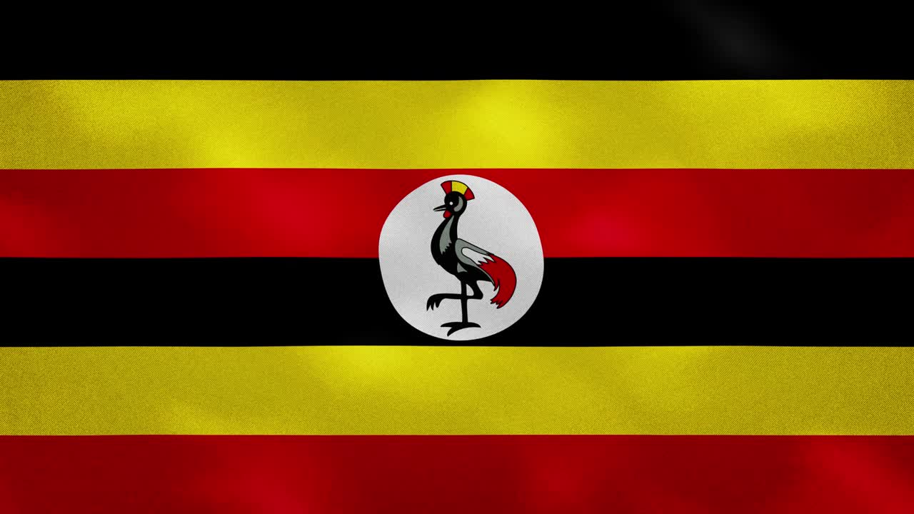 우간다 발의 밀집된 직물 파동, 배경 루프